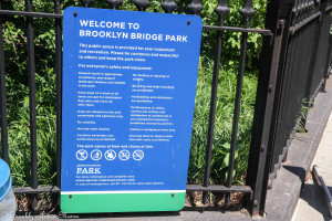 brooklyn bridge park