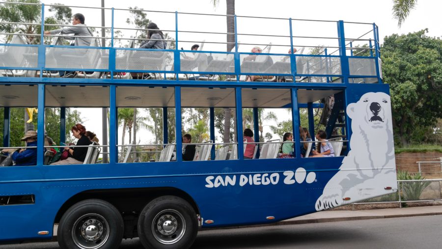 Traveling Solo To The San Diego Zoo: Tips and Tricks