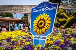 The Epcot Flower and Garden Festival is one of the most forgeous times at Walt Disney World! Check out the sights and the must see attractions at this year's festival! #disneyworld #epcot #traveltips