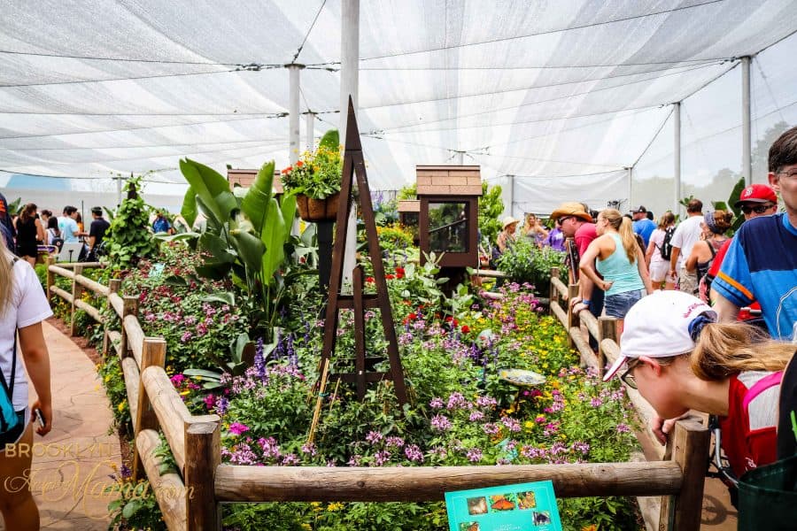 The Epcot Flower and Garden Festival is one of the most forgeous times at Walt Disney World! Check out the sights and the must see attractions at this year's festival! #disneyworld #epcot #traveltips