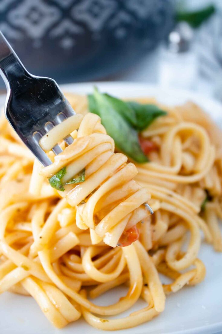 The Best One Pot Tomato Basil Pasta Recipe