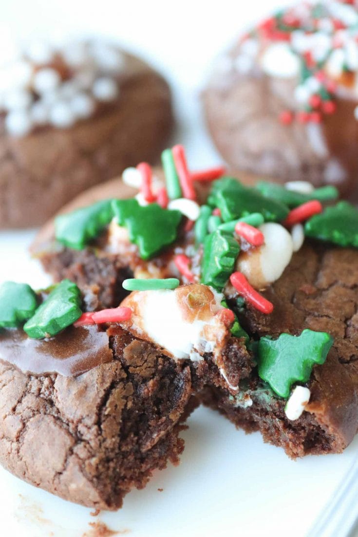 Rich and Amazing Hot Cocoa Cookies