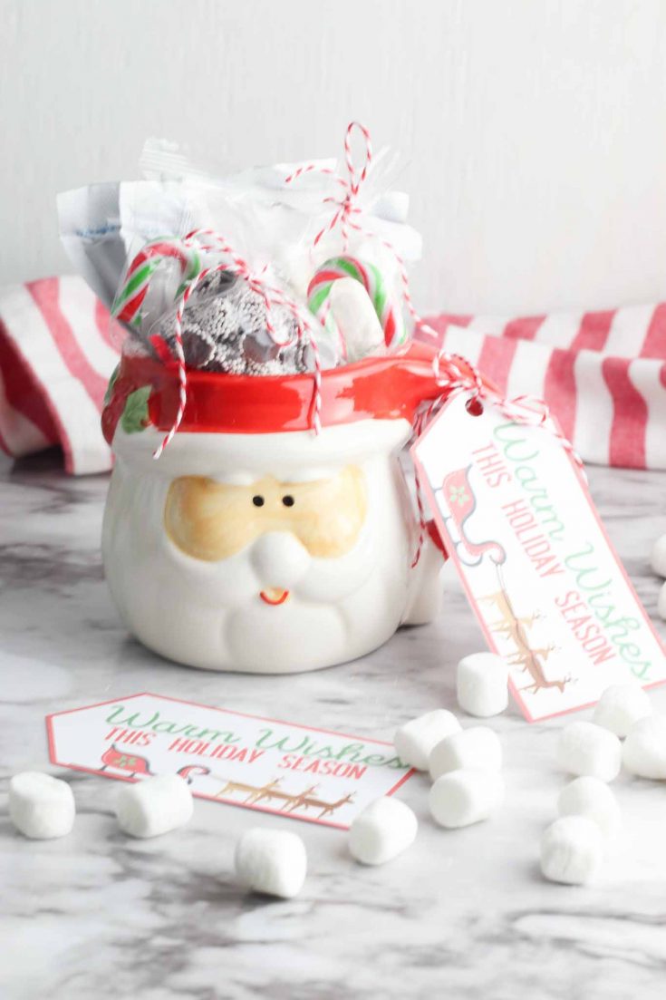 Easy DIY Dollar Tree Hot Chocolate Mug Gift - Instructions and Printable!