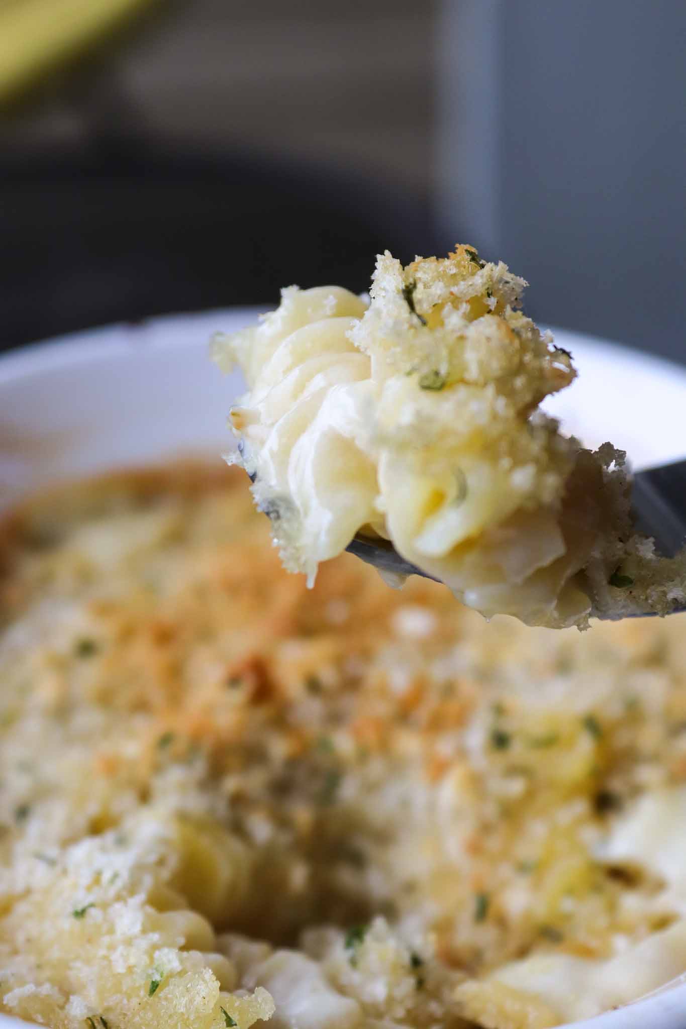 truffled goat cheese mac and cheese