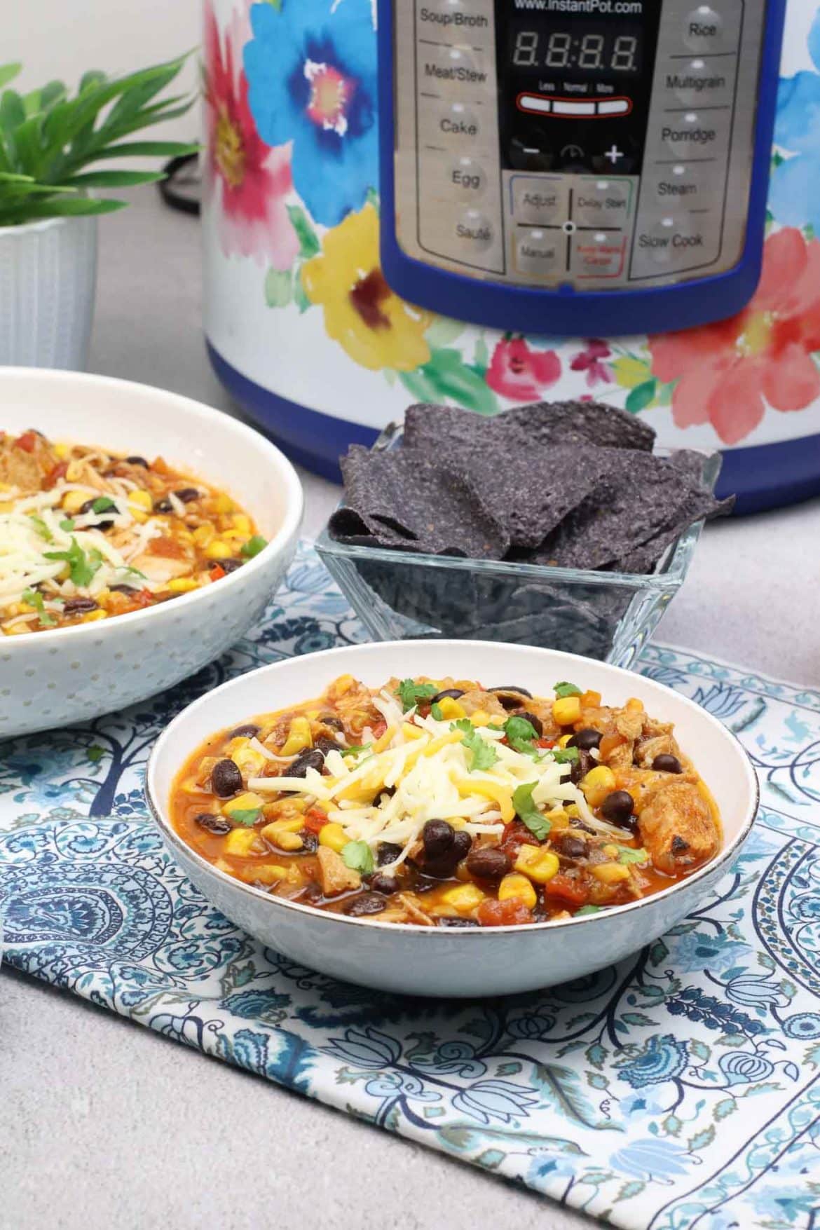 Instant Pot Spicy Black Bean White Chicken Chili