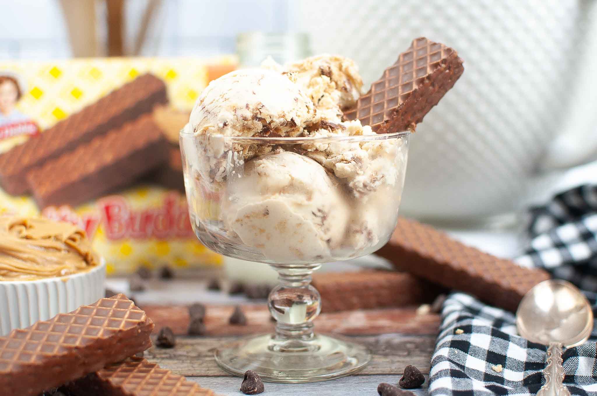 Nutterbuddy Ice Cream Recipe