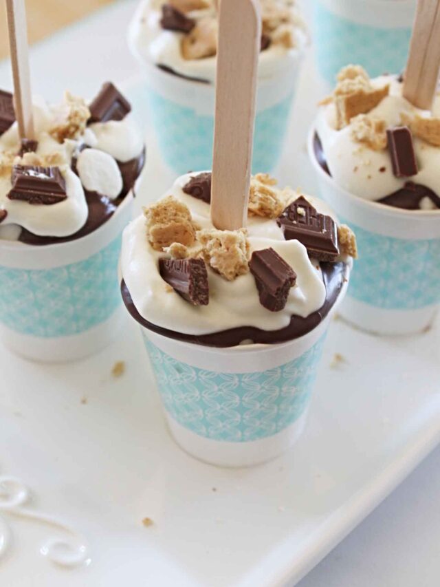 cropped-Frozen-Smores-Pops-Recipe-20.jpg