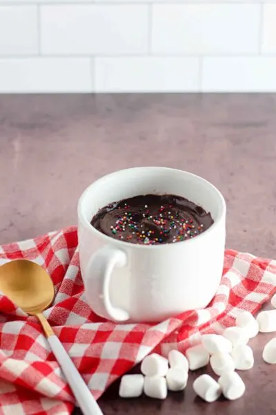 How To Make An Easy Delicious Chocolate Mug Cake
