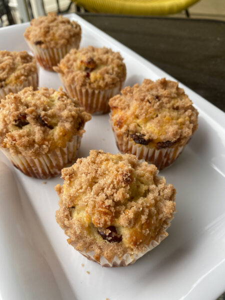 Cranberry Oat Muffins